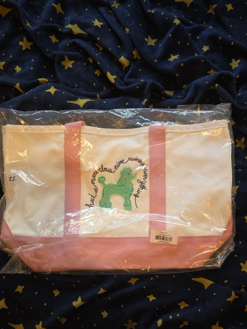 NEW Taylor Swift Had A Marvelous Time Ruinin Everything Tote Bag
